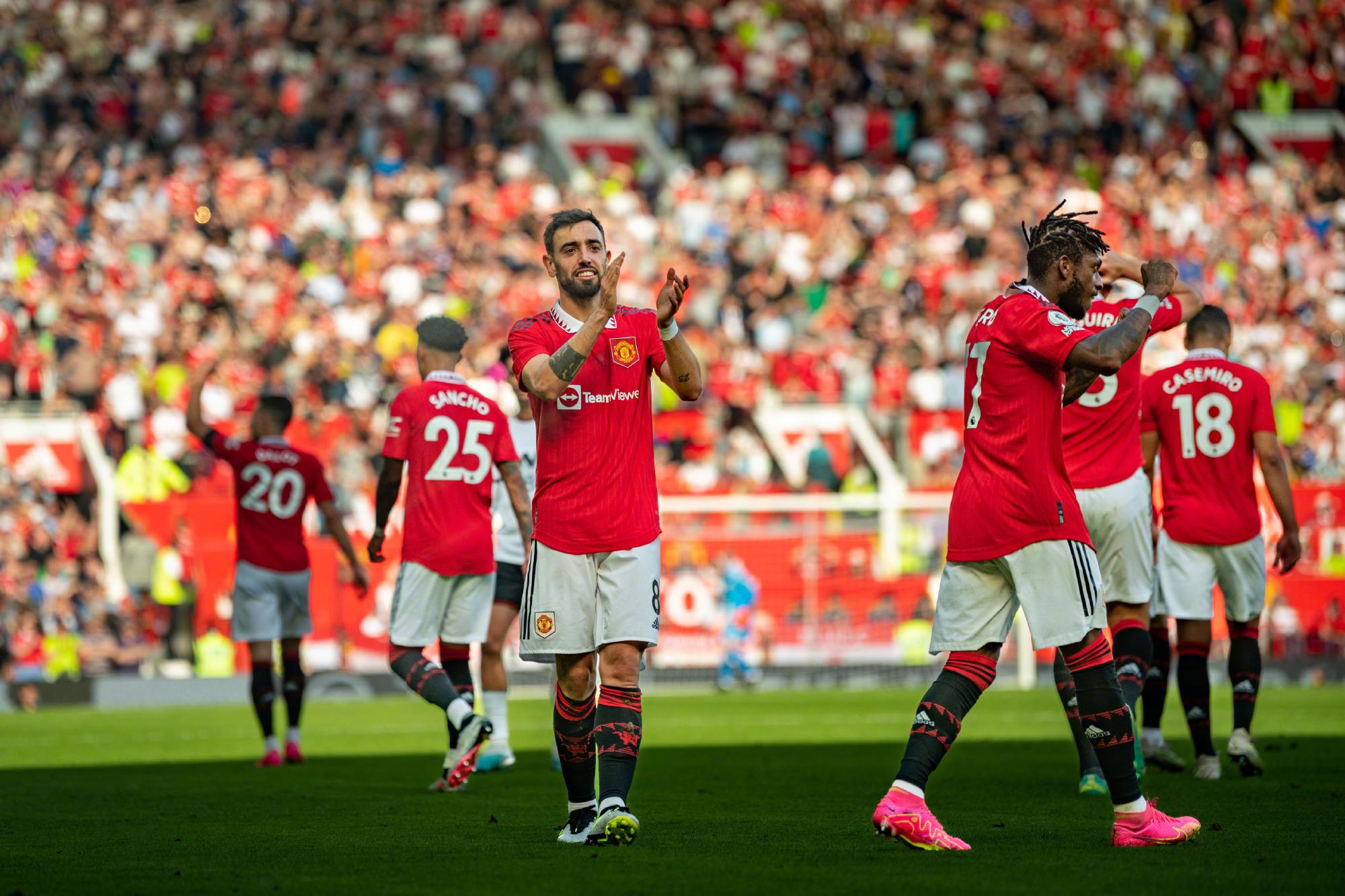 或许将成为 或许将成为